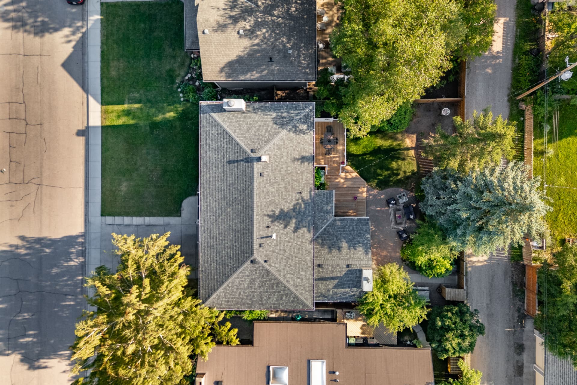Roof & Yard